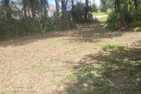 Land in Mulberry, Florida № 2161608 - photo 2