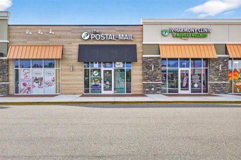 Commercial property in Lutz, Florida № 2211313