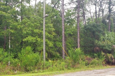 Land in Crystal River, Florida № 2160582