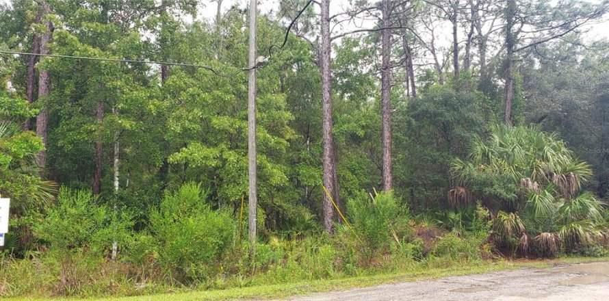 Land in Crystal River, Florida № 2160582
