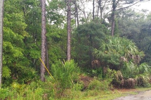 Land in Crystal River, Florida № 2160582 - photo 2