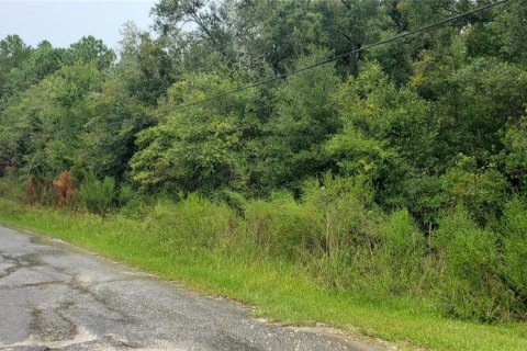 Land in Crystal River, Florida № 2160582 - photo 3