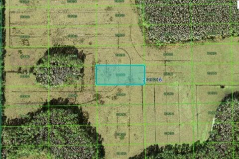 Terreno en Polk City, Florida № 2226938