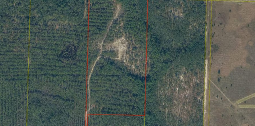 Land in Freeport, Florida № 558713