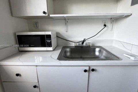 Снять в аренду виллу или дом в Майами, Флорида 1 спальня, 155.52м2, № 2074913 - фото 3