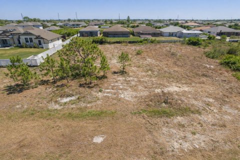 Immobilier commercial à Port Charlotte, Floride № 2146003