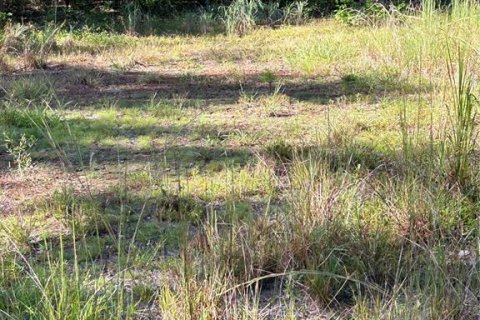 Terreno en venta en Wesley Chapel, Florida № 1885844 - foto 3