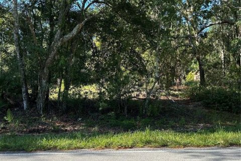 Terreno en venta en Wesley Chapel, Florida № 1885844 - foto 1