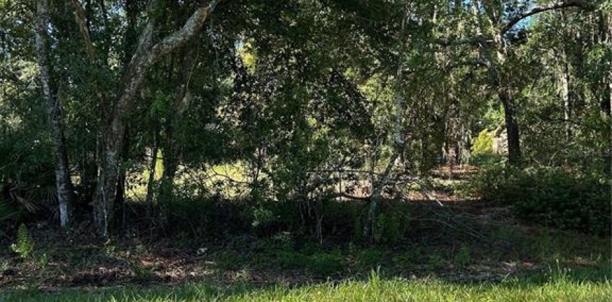 Terreno en Wesley Chapel, Florida № 1885844