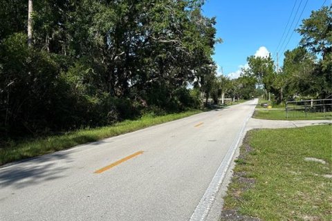 Terreno en venta en Wesley Chapel, Florida № 1885844 - foto 8