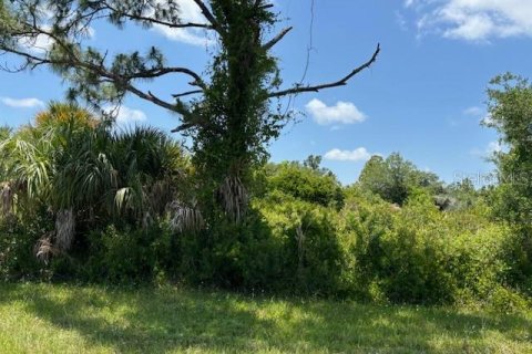 Land in Port Charlotte, Florida № 2158838
