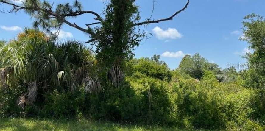 Land in Port Charlotte, Florida № 2158838