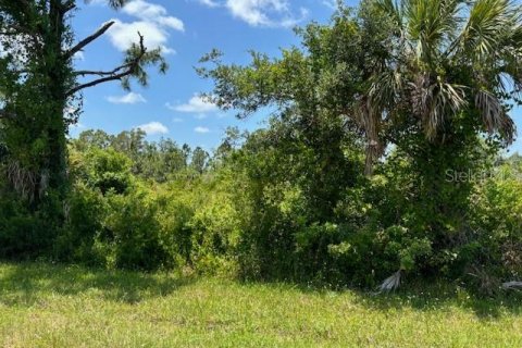 Land in Port Charlotte, Florida № 2158838 - photo 3