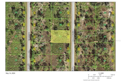 Land in Port Charlotte, Florida № 2158838 - photo 2