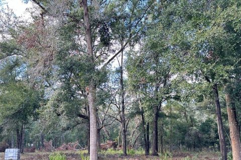 Land in Brooksville, Florida № 1450046 - photo 3