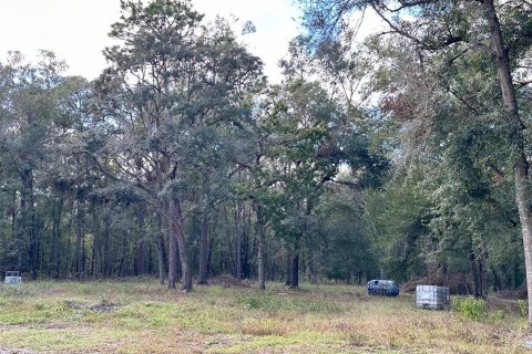 Land in Brooksville, Florida № 1450046 - photo 2