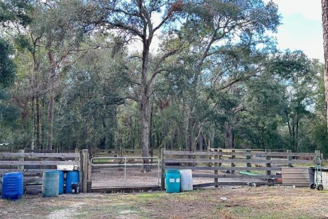 Land in Brooksville, Florida № 1450046 - photo 6