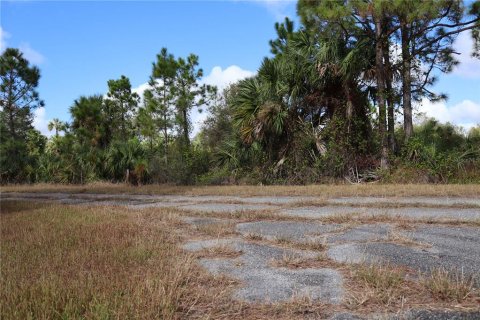 Land in North Port, Florida № 2162875 - photo 10