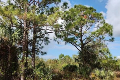 Land in North Port, Florida № 2162875 - photo 3