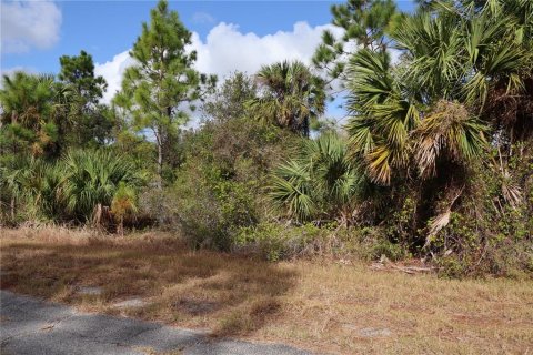 Land in North Port, Florida № 2162875 - photo 2