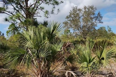 Land in North Port, Florida № 2162875 - photo 5