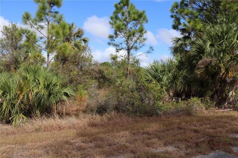 Land in North Port, Florida № 2162875 - photo 4