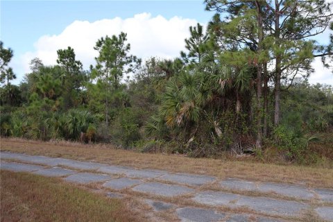 Land in North Port, Florida № 2162875 - photo 6
