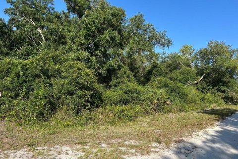 Terreno en venta en Punta Gorda, Florida № 1651285 - foto 1