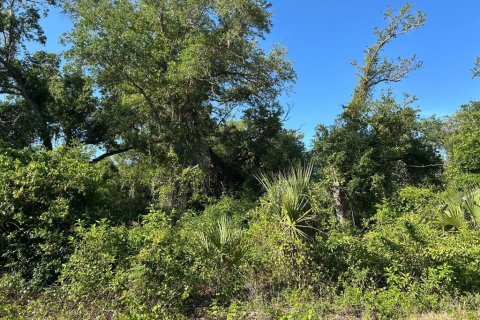 Terreno en venta en Punta Gorda, Florida № 1651285 - foto 3
