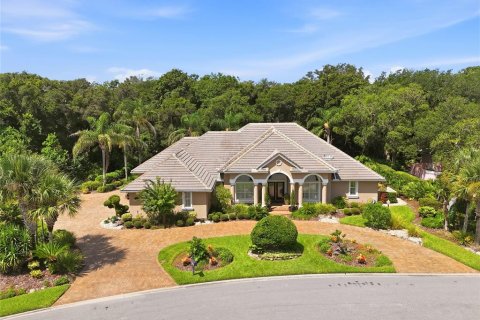 House in Palm Coast, Florida 3 bedrooms, 306.48 sq.m. № 2298085