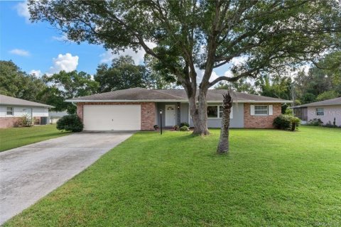 Villa ou maison à Inverness, Floride 3 chambres, 155.24 m2 № 2423894