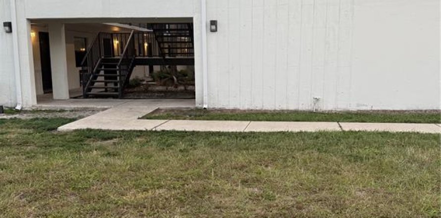 Studio in Tampa, Florida № 2105730