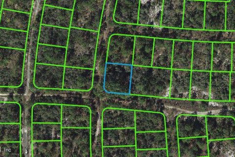 Land in Lake Placid, Florida № 2160497
