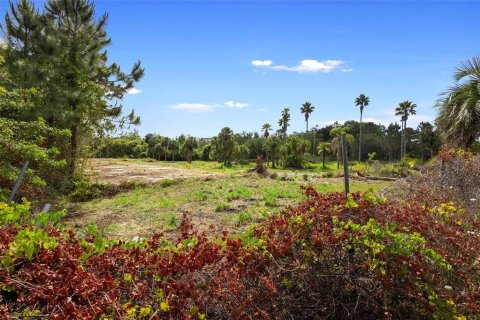 Terreno en venta en Kissimmee, Florida № 1673560 - foto 9