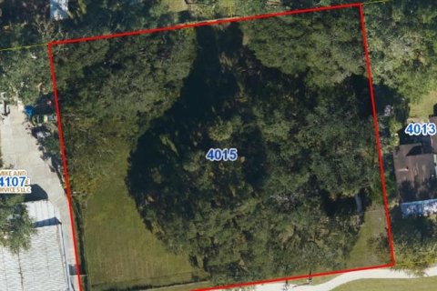 Terrain à Kissimmee, Floride № 2377471