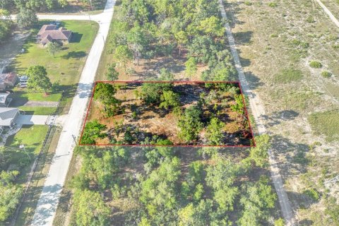 Land in Brooksville, Florida № 2164003