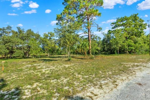 Terrain à vendre à Brooksville, Floride № 2164003 - photo 2
