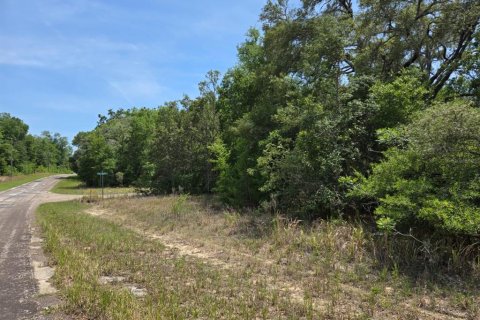 Land in Citrus Springs, Florida № 1689688 - photo 2
