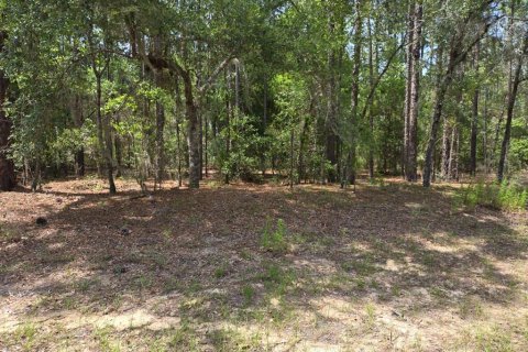 Land in Citrus Springs, Florida № 1689688 - photo 3