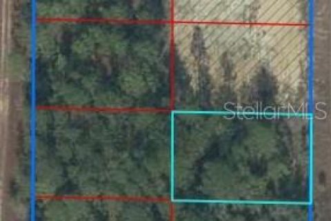 Land in Williston, Florida № 2205644