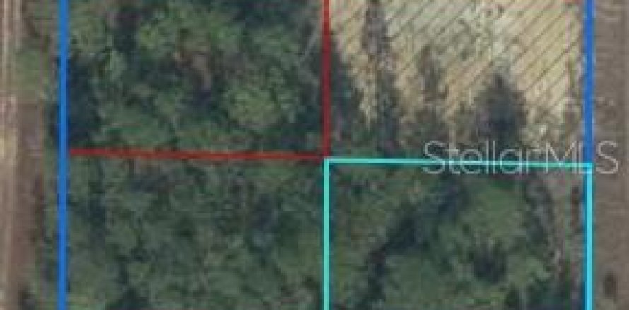 Land in Williston, Florida № 2205644