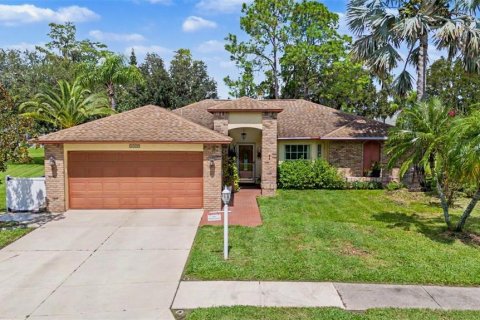 House in Trinity, Florida 2 bedrooms, 195.84 sq.m. № 2368824