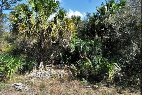 Land in North Port, Florida № 2164893 - photo 2