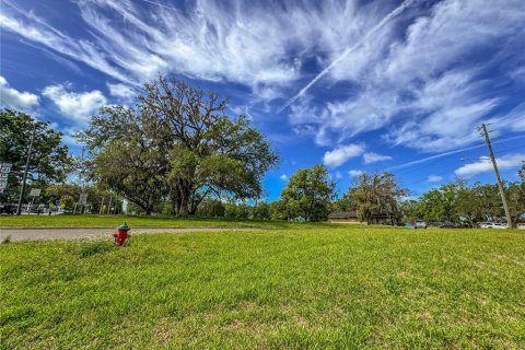 Terrain à Brooksville, Floride № 2127377