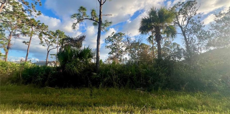 Terrain à Port Charlotte, Floride № 2159977