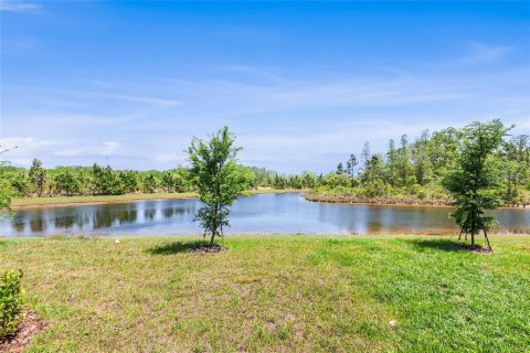 Adosado en alquiler en Land O' Lakes, Florida, 3 dormitorios, 155.43 m2 № 2117573 - foto 14