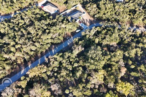 Land in North Port, Florida № 2163360 - photo 4