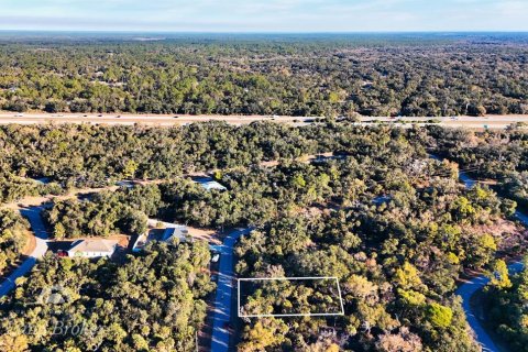 Land in North Port, Florida № 2163360 - photo 5