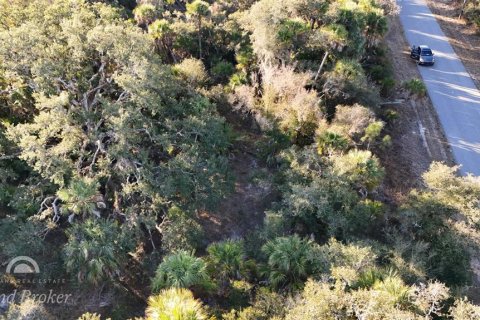 Land in North Port, Florida № 2163360 - photo 7