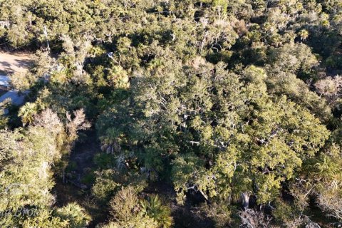 Land in North Port, Florida № 2163360 - photo 8